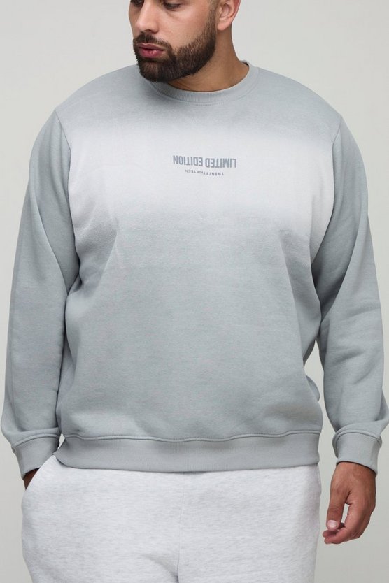 Plus Limited Edition Print Spay Wash Regular Fit Sweater